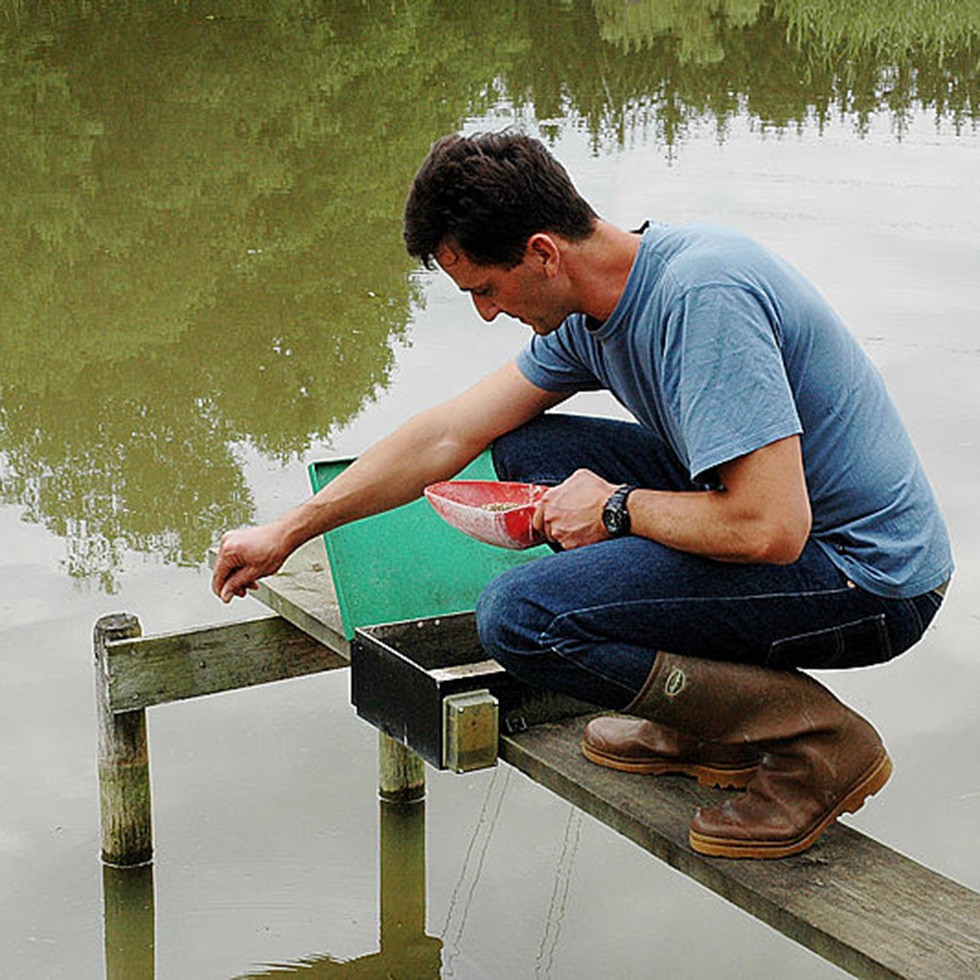 FIAP Belt Feeder Standard 3 kg / 12 h Art. No. 1500aquaculturebelt