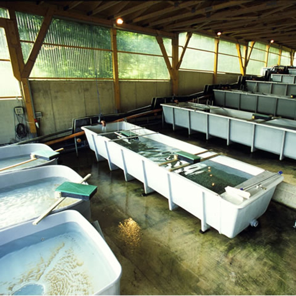 FIAP Belt Feeder Standard 3 kg / 12 h Art. No. 1500aquaculturebelt