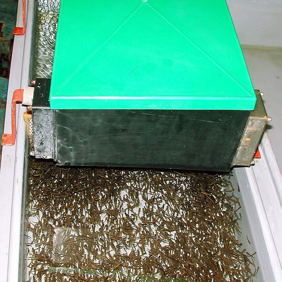 FIAP Belt Feeder Standard 3 kg / 12 h Art. No. 1500aquaculturebelt