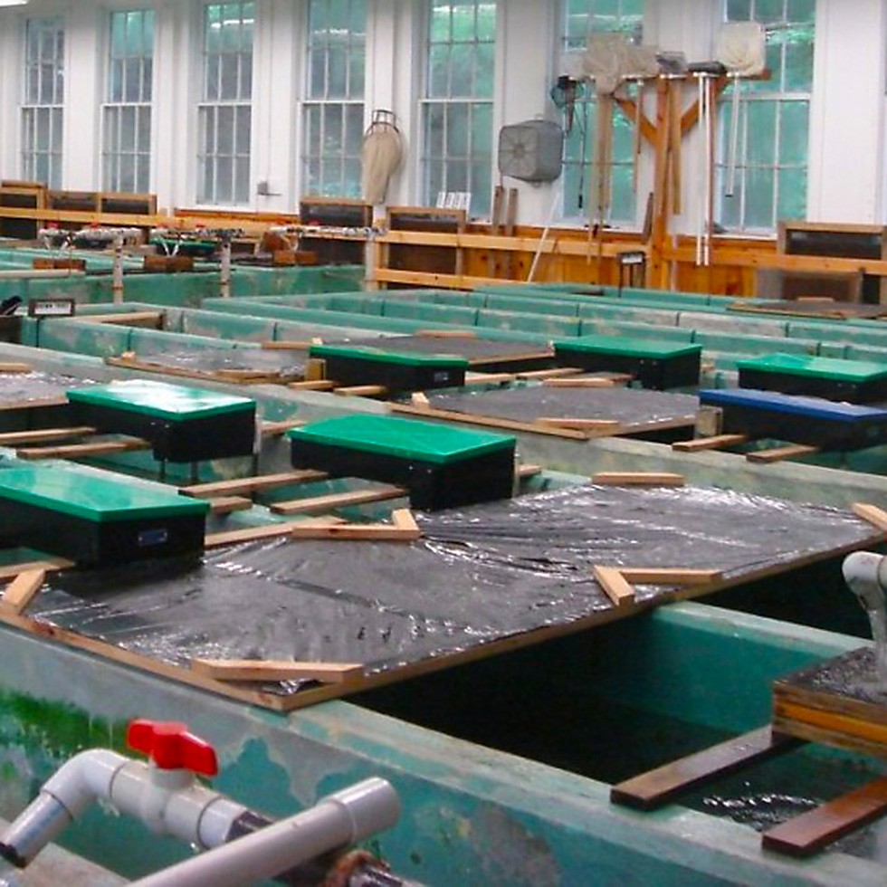 FIAP Belt Feeder Standard 3 kg / 12 h Art. No. 1500aquaculturebelt