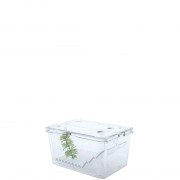 Breeding Tank 1 Liter