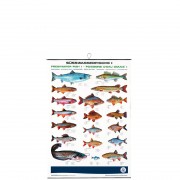profifan Freshwater Fish I