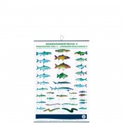 profifan Freshwater Fish II