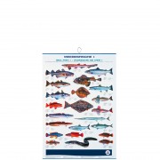 profifan Sea Fish
