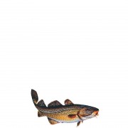 profifan Sticker Cod