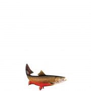 profifan Sticker Fingerling