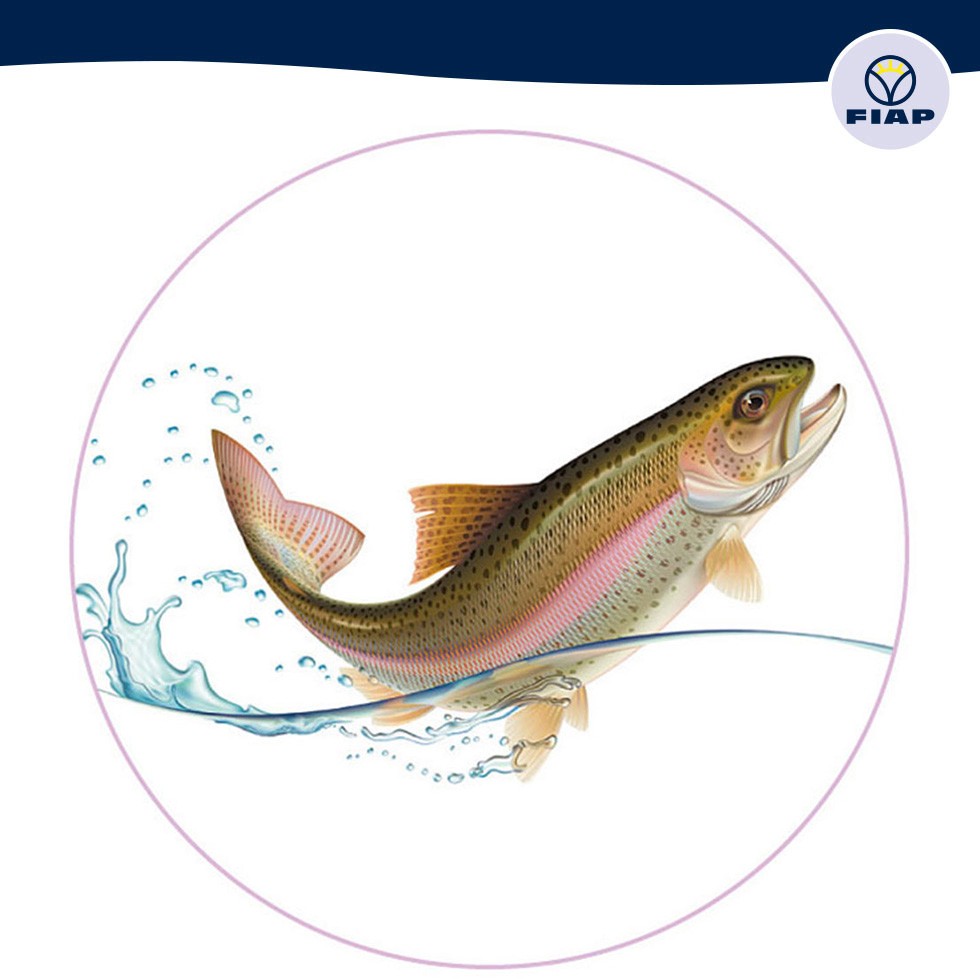 FIAP Premiumcare Quick Test 25 Stück - Wasser Teststreifen Für Aquarium & Teich