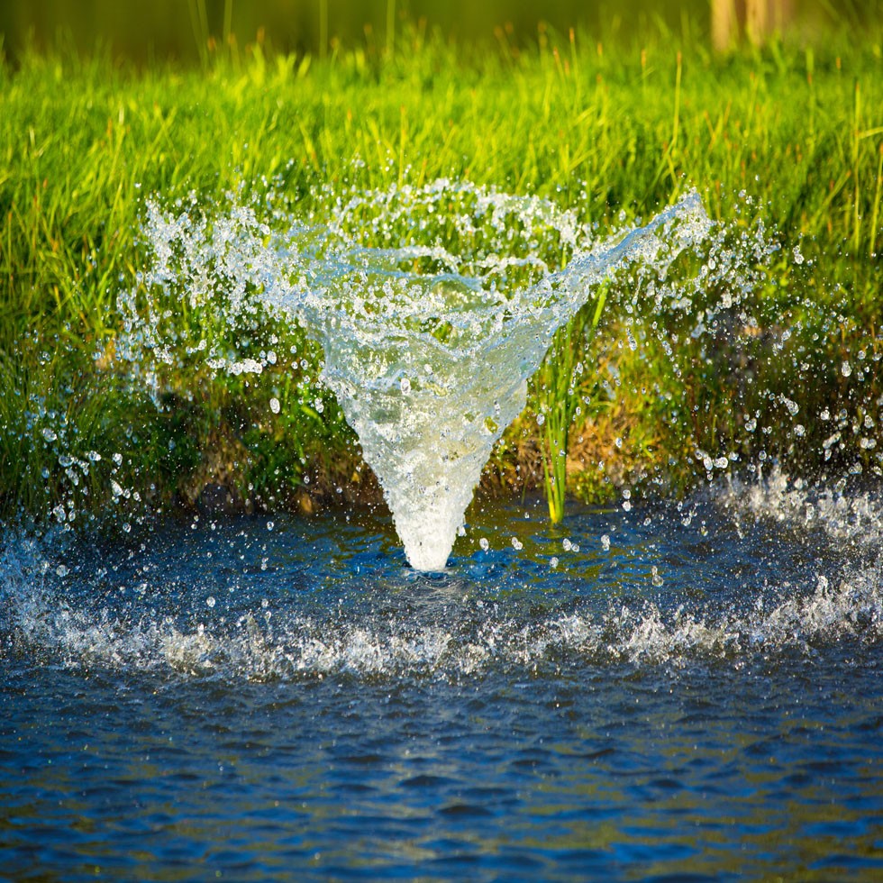 FIAP Air Active OxyFlow Art. Nr. 2955GartenteichBelüftung