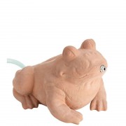 Deco Active Frog