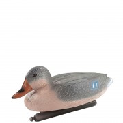 Deco Active Duck